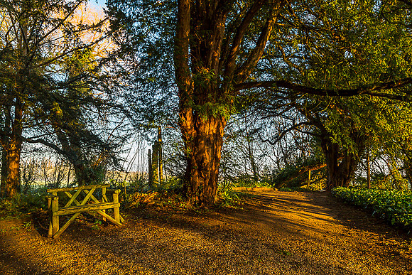 Hodsock Priory